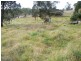 Portland NSW 2847