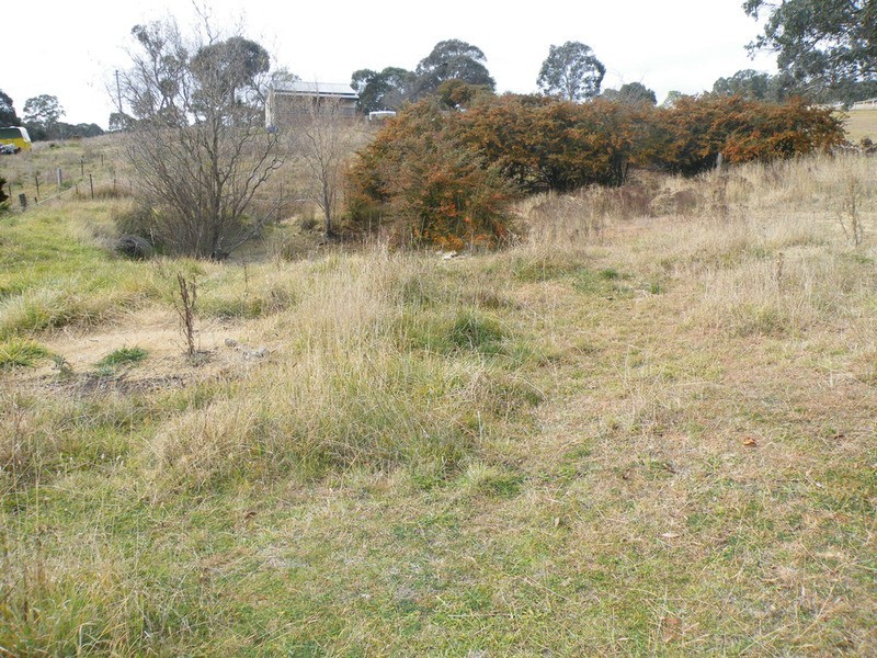 Portland NSW 2847