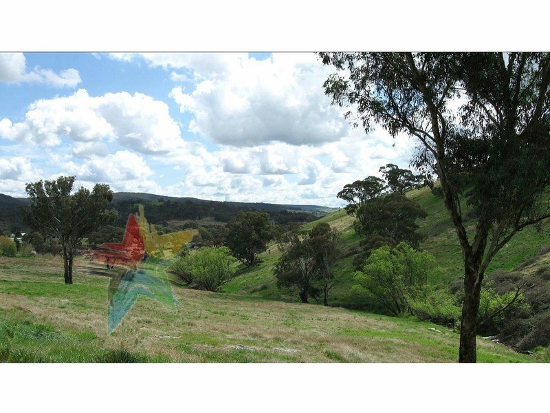 Wisemans Creek NSW 2795