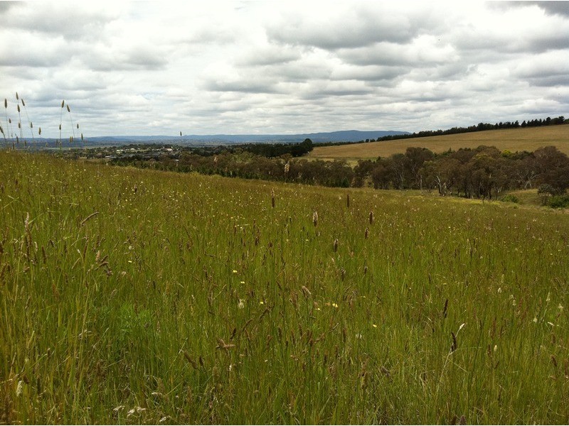 Bathurst NSW 2795