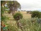 3280 Beaconsfield  Road, Bathurst NSW 2795