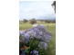 3280 Beaconsfield  Road, Bathurst NSW 2795
