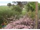 3280 Beaconsfield Road, O’connell NSW 2795