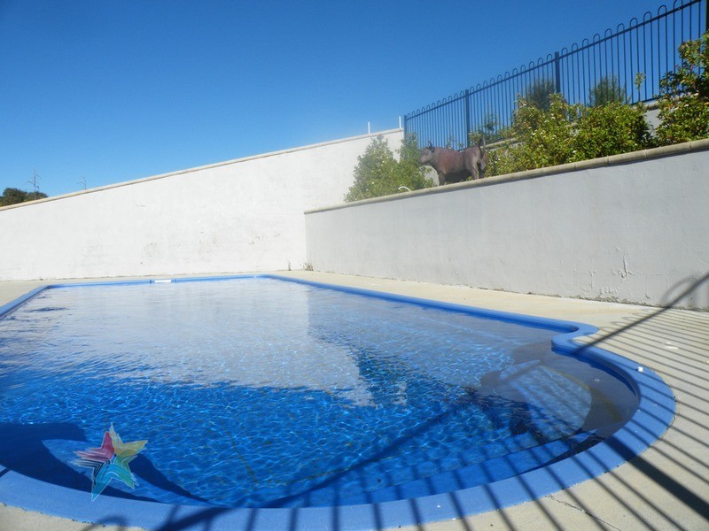 18 Arabella Place, Bathurst NSW 2795