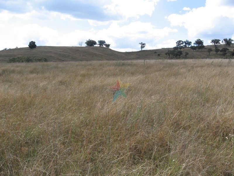1732 Bridle Track, Bathurst NSW 2795