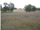 1732 Bridle Track, Bathurst NSW 2795