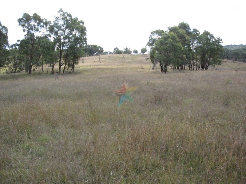 1732 Bridle Track, Bathurst NSW 2795