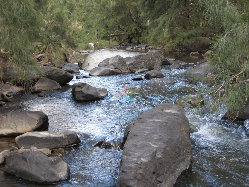 1732 Bridle Track, Bathurst NSW 2795