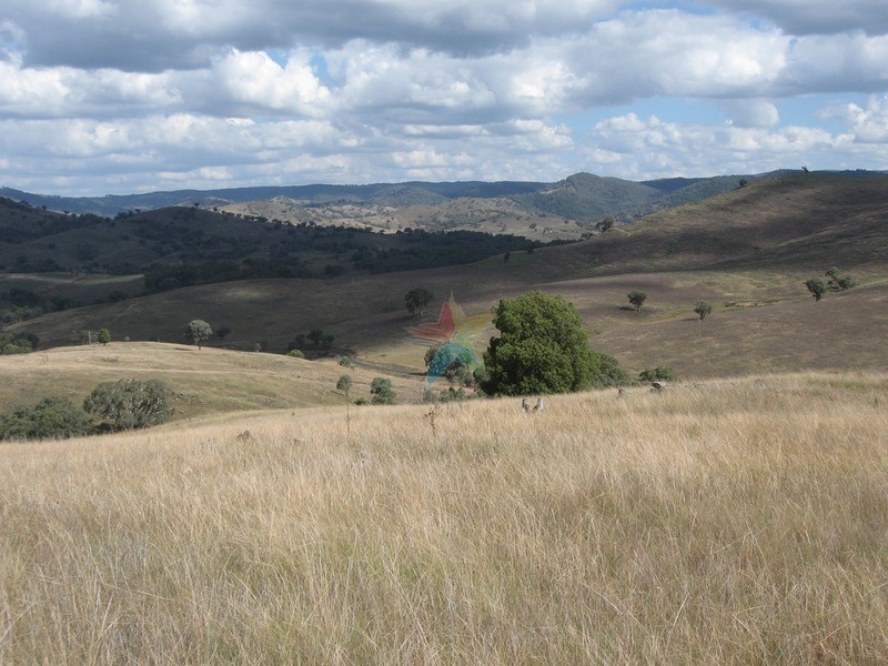 1732 Bridle  Track, Bathurst NSW 2795