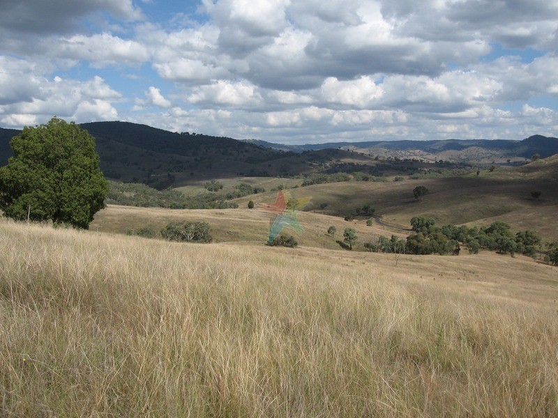 1732 Bridle  Track, Bathurst NSW 2795