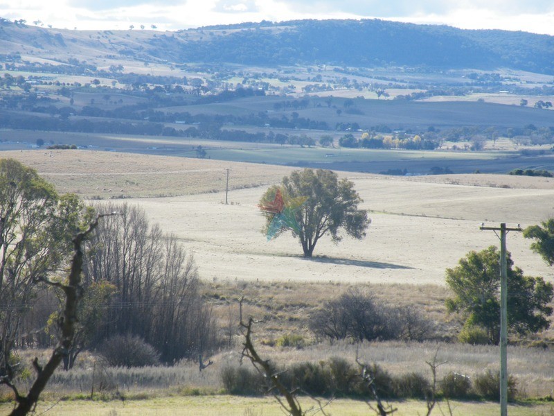 579 Mitchell  Highway, Bathurst NSW 2795