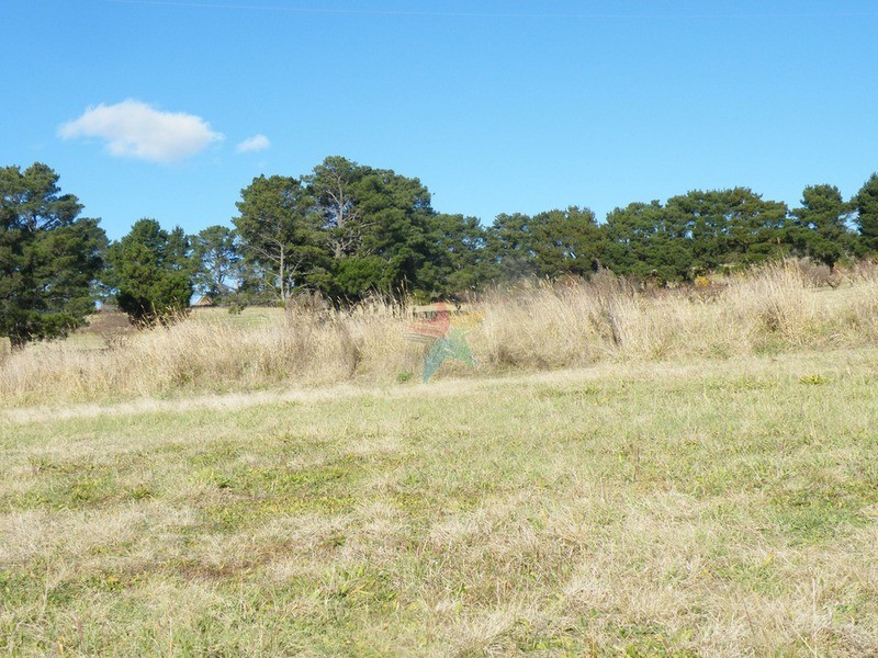579 Mitchell  Highway, Bathurst NSW 2795