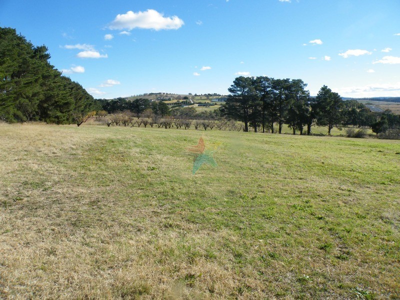 579 Mitchell  Highway, Bathurst NSW 2795