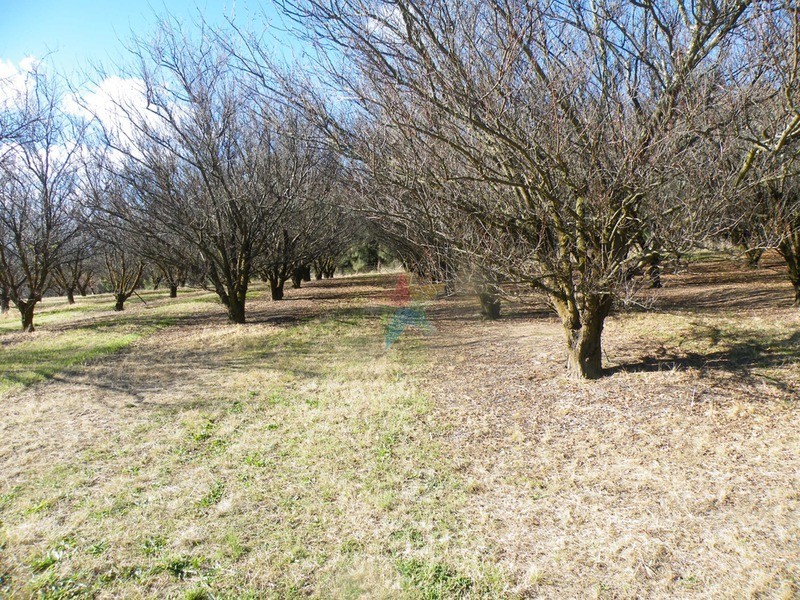 579 Mitchell  Highway, Bathurst NSW 2795