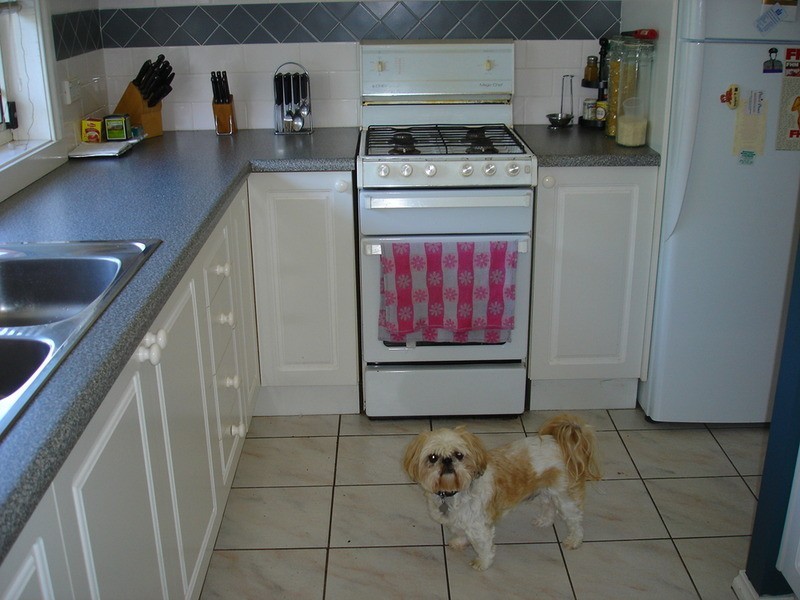 32B Prospect Street, Bathurst NSW 2795