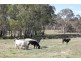 “Speckle Park” Range Road, Meadow Flat NSW 2795