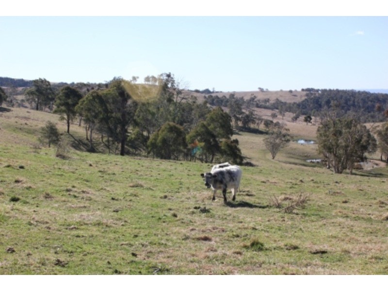 “Speckle Park” Range Road, Meadow Flat NSW 2795