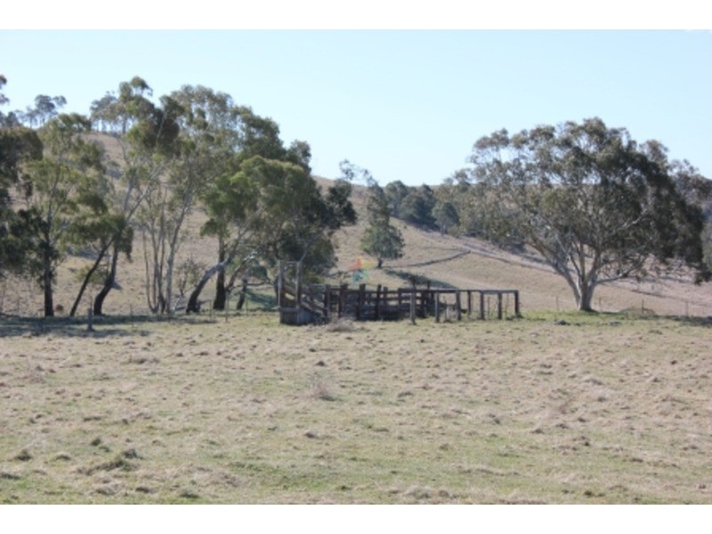 “Speckle Park” Range Road, Meadow Flat NSW 2795