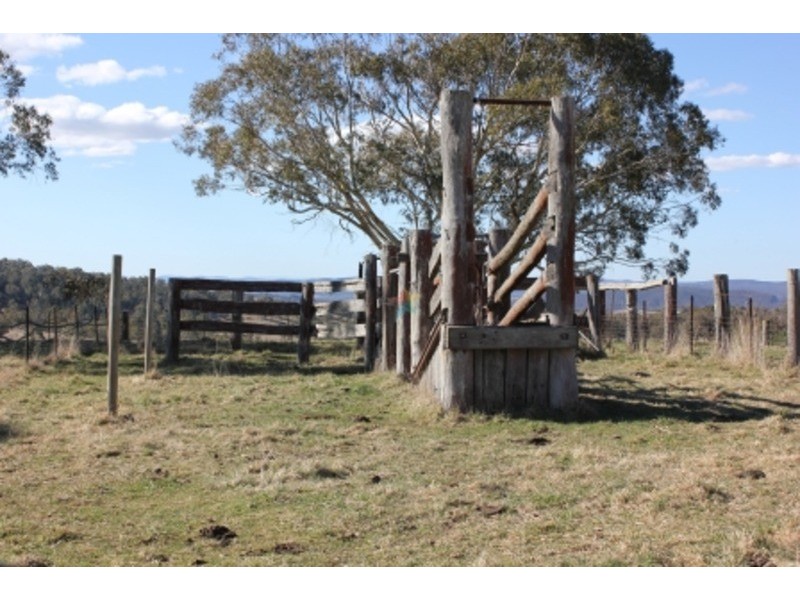 “Speckle Park” Range  Road, Bathurst NSW 2795