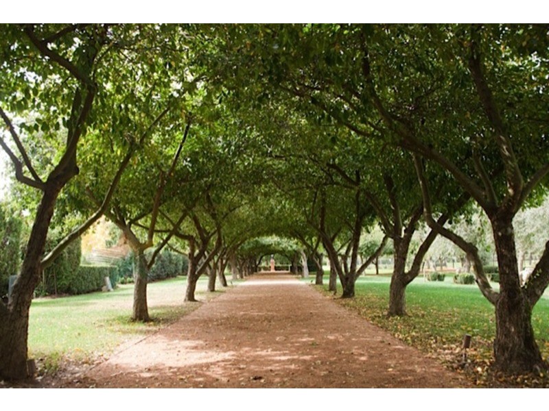 90 Eleven Mile Drive, Bathurst NSW 2795