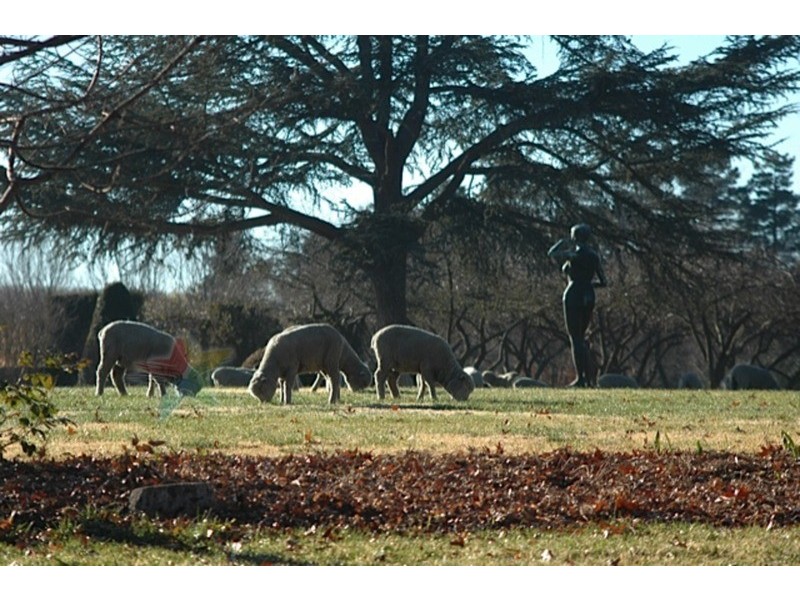 90 Eleven Mile Drive, Bathurst NSW 2795