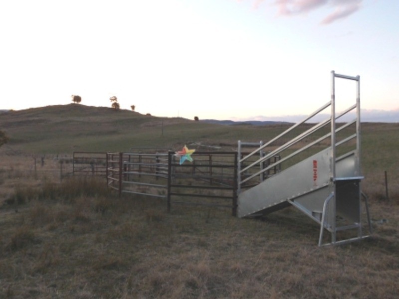 49  Fitzroy Street, Peel NSW 2795