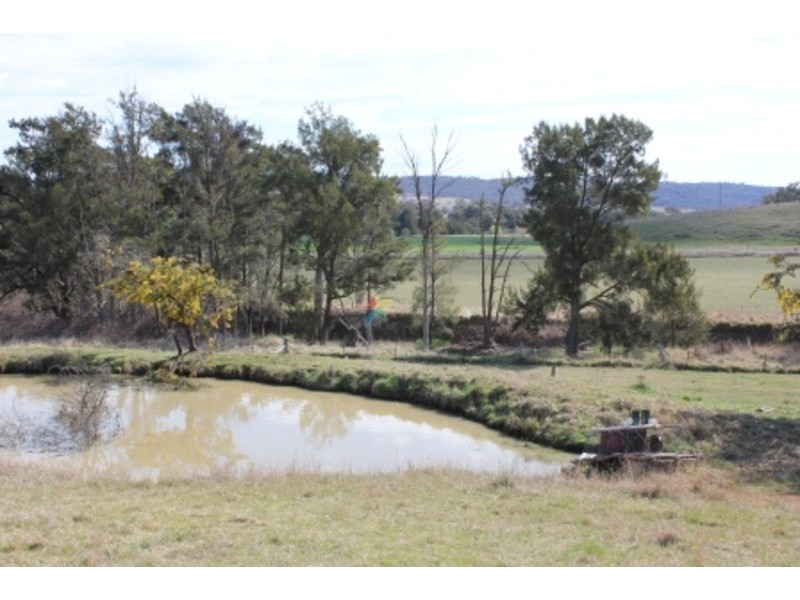 49  Fitzroy Street, Peel NSW 2795