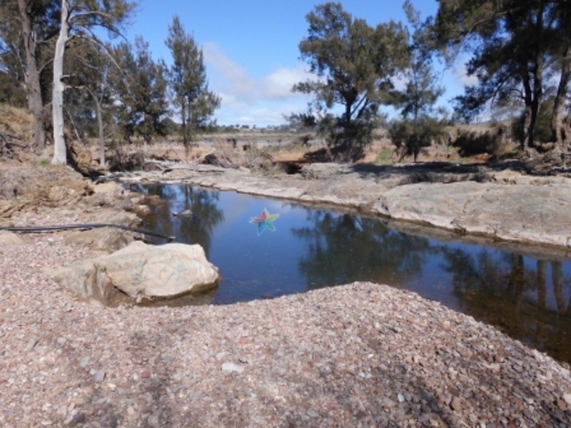 49  Fitzroy Street, Peel NSW 2795