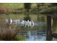 90 Eleven Mile Drive, Bathurst NSW 2795