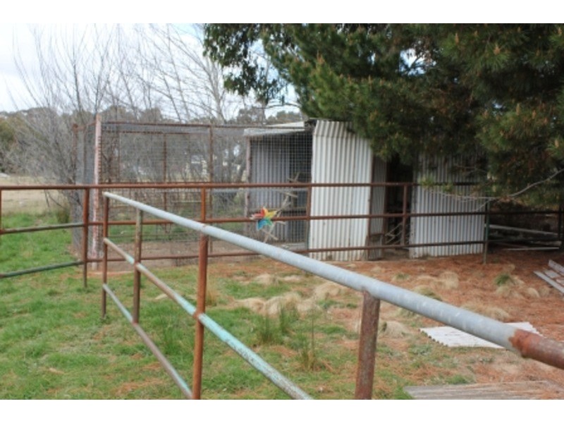 13 Selby Street, Cowra NSW 2794