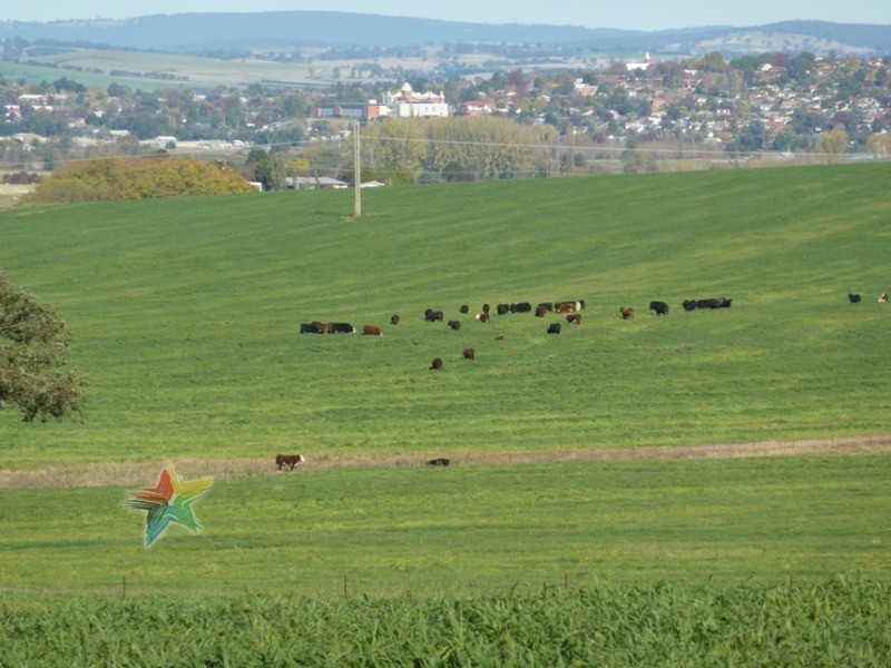 458 Eleven Mile Drive, Bathurst NSW 2795