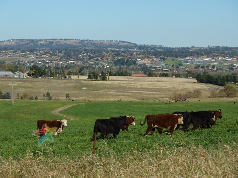 458 Eleven Mile Drive, Bathurst NSW 2795