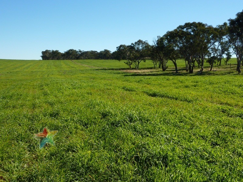 458 Eleven Mile Drive, Bathurst NSW 2795