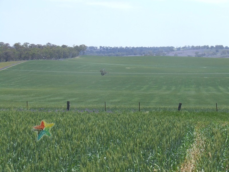 458 Eleven Mile Drive, Bathurst NSW 2795