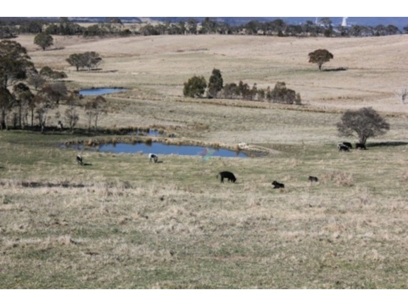 “Speckle Park” Range  Road, Bathurst NSW 2795