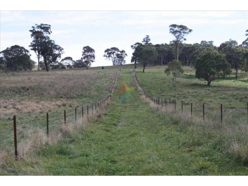 “Speckle Park” Range  Road, Bathurst NSW 2795