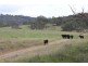 543 Turondale  Road, Duramana NSW 2795