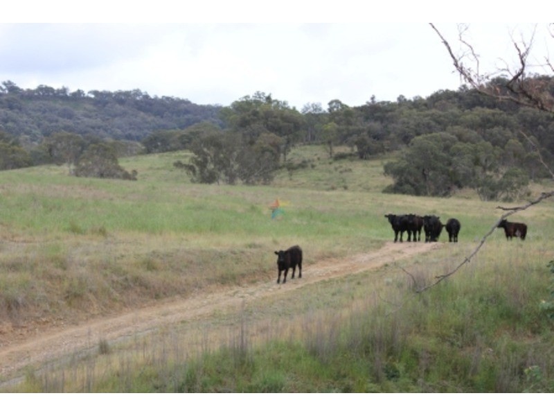 543 Turondale  Road, Duramana NSW 2795