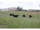 543 Turondale  Road, Duramana NSW 2795