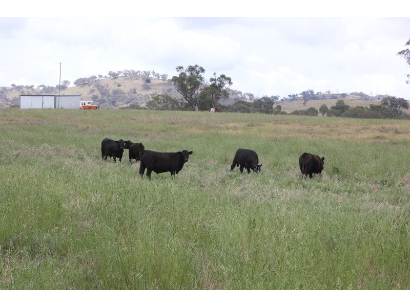 543 Turondale  Road, Duramana NSW 2795
