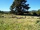 29766 Tasman Highway, Weldborough TAS 7264