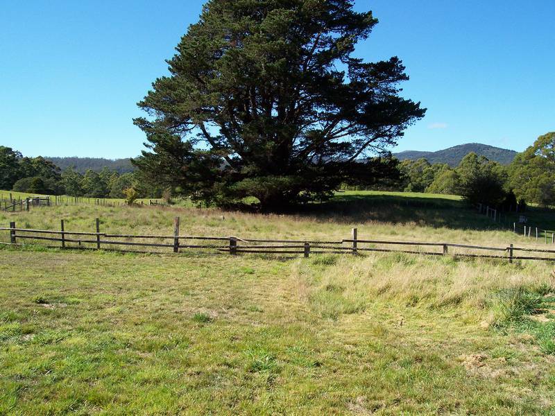 29766 Tasman Highway, Weldborough TAS 7264