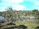 lot 2 Gardens  Road, Binalong Bay TAS 7216
