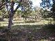 lot 2 Gardens  Road, Binalong Bay TAS 7216
