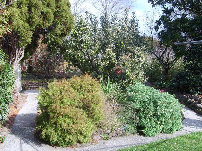 8 Douglas Street, Newstead TAS 7250
