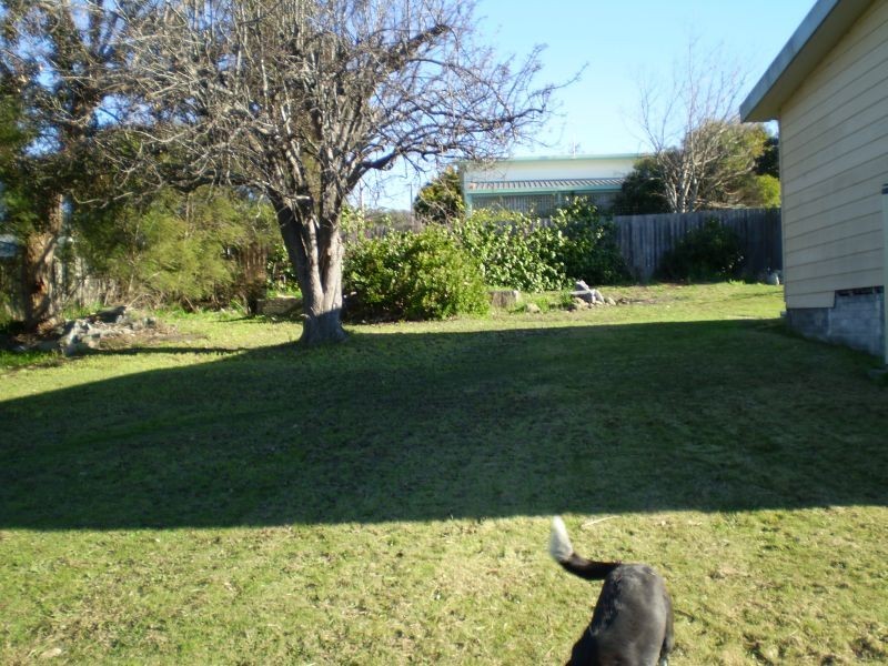 36 Elizabeth Street, Bridport TAS 7262