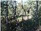 349 Ginns Road, Birralee TAS 7303