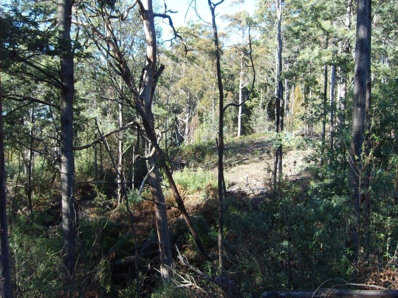 349 Ginns Road, Birralee TAS 7303