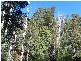 349 Ginns Road, Birralee TAS 7303