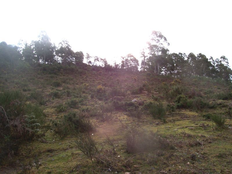 lot 4 Esk Main Road, St Marys TAS 7215